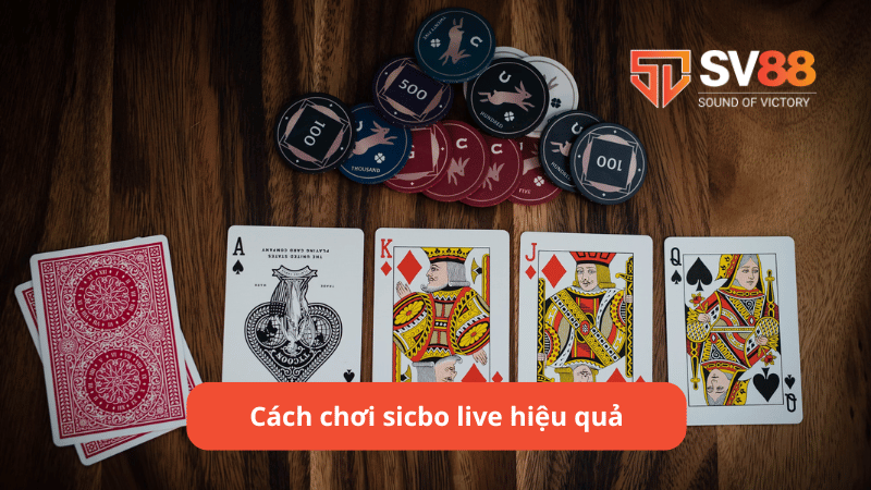 Cách chơi sicbo live hiệu quả