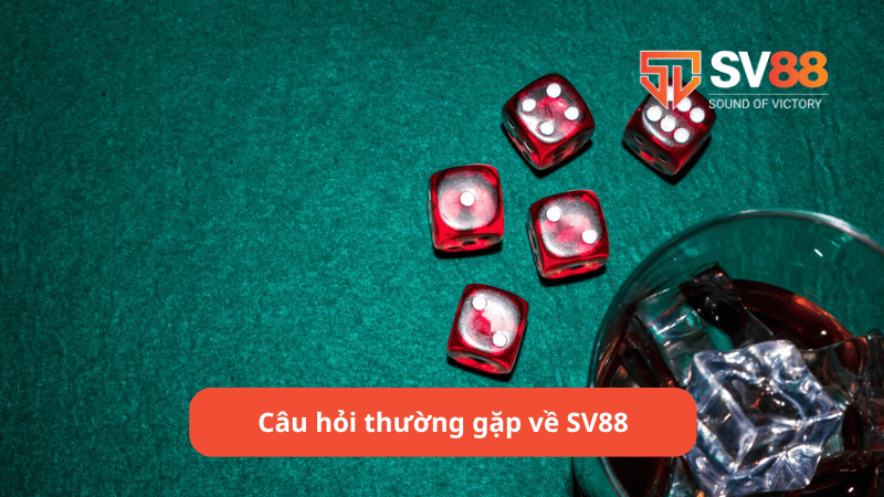 Câu hỏi thường gặp