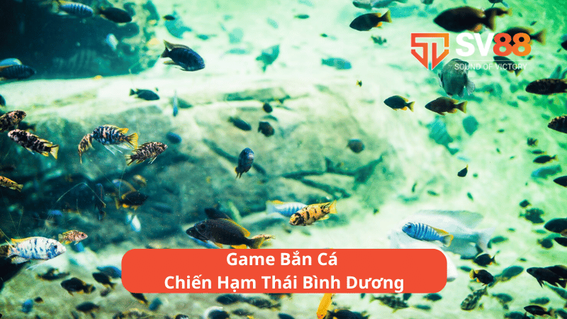 game bắn cá chiến hạm thái bình dương