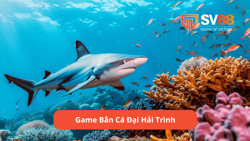 Game bắn cá Đại Hải Trình