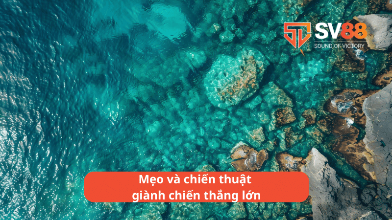 Mẹo và chiến thuật giành chiến thắng lớn